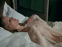Sladká vôňa ruže