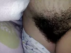 Chlpatý mačička