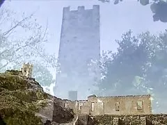 Tropické korenia