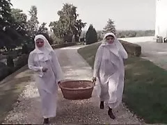 Ročník perverzné mníšky (camaster)