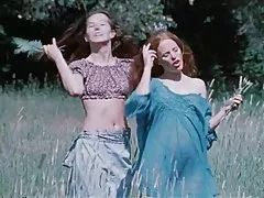 Špinavý lesa