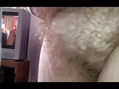 Chlpatý mačička wifes hneď vedľa mojej tvári