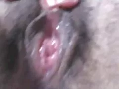 Mokré a chlpatý mačička
