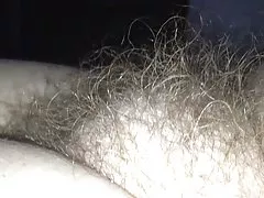 Bočný pohľad na môj wifes dlhé mäkké chlpatý mačička