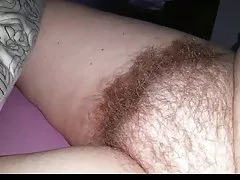 Wifes pekné jemné nadýchaný chlpatý mačička len zo sprchy,